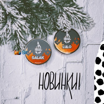 Первые новинки 2025 от BLACKBURN 